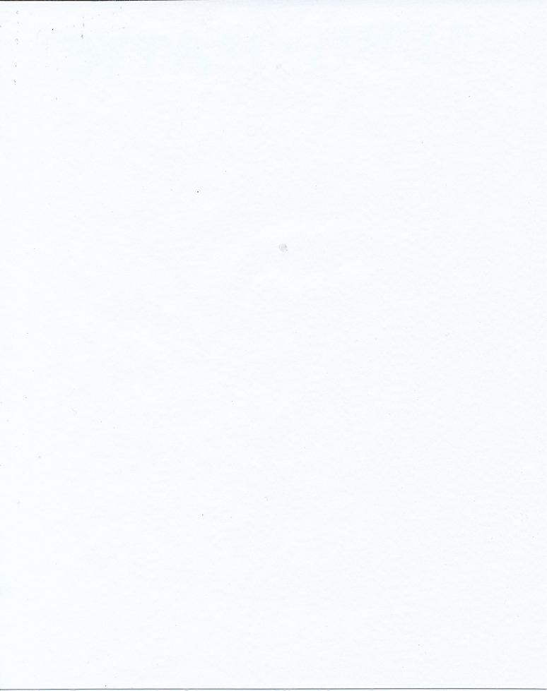 10Ga White Matte Emb
