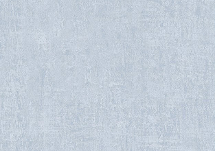 Echo