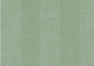 Echo Stripe