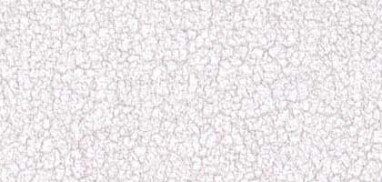 Crackle