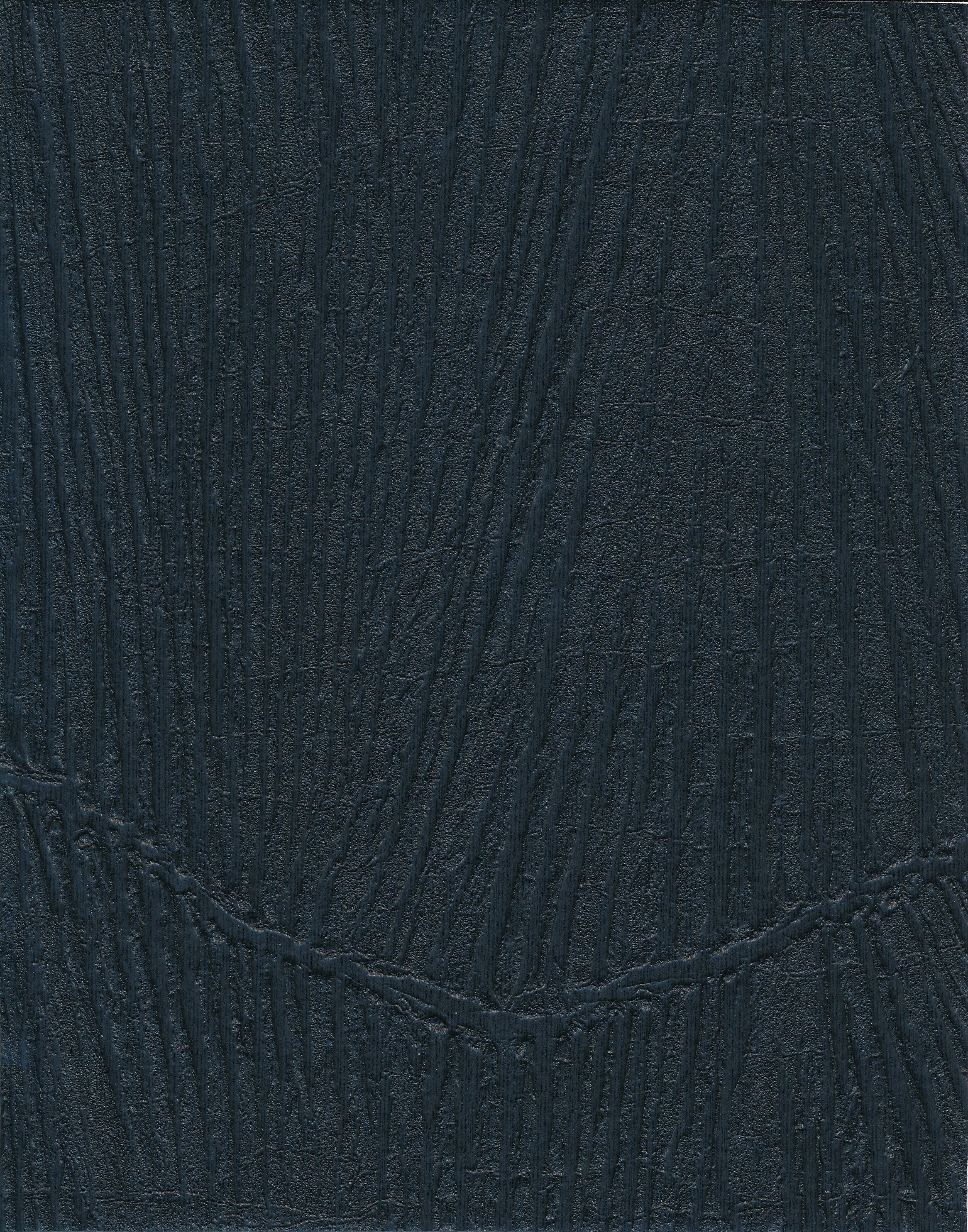 Panache