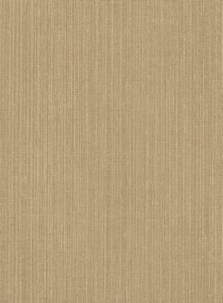 Asani Texture