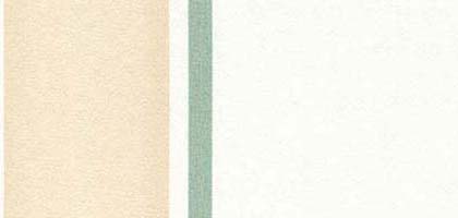 Randi Stripe