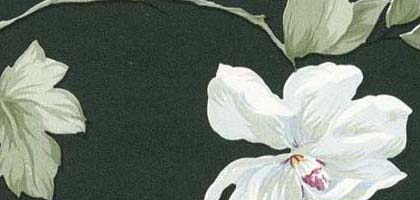 Sugar Magnolia