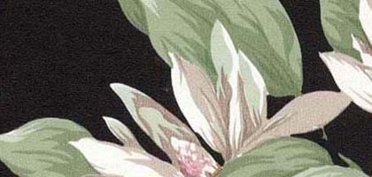 Sugar Magnolia