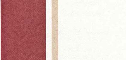 Randi Stripe