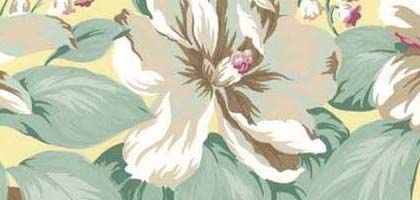Sugar Magnolia Border