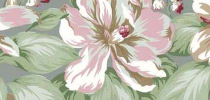 Sugar Magnolia Border