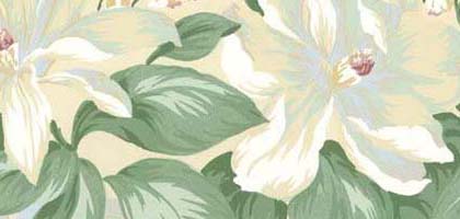Sugar Magnolia Border