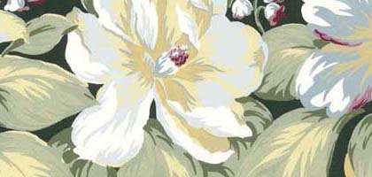 Sugar Magnolia Border