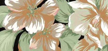 Sugar Magnolia Border