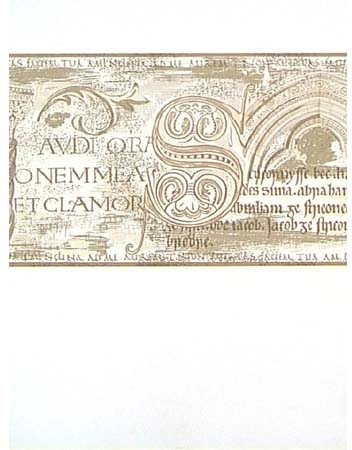 Ornament Border