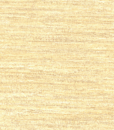 Sari Texture