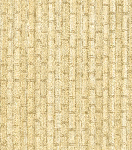 Bamboo Shoot
