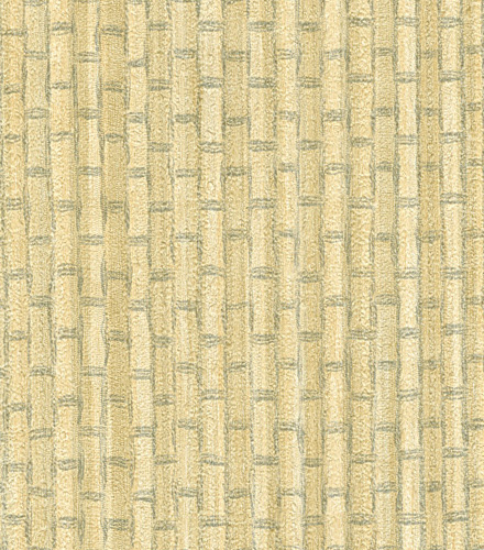 Bamboo Shoot