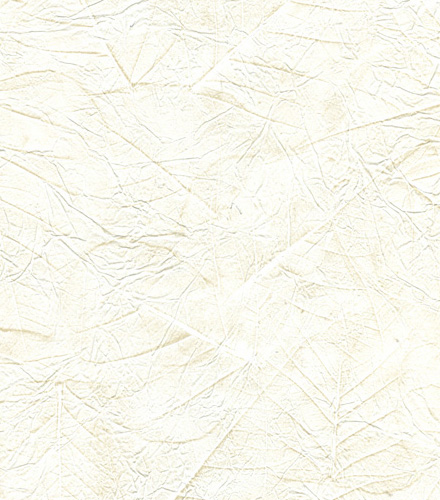 Aspen Leaves