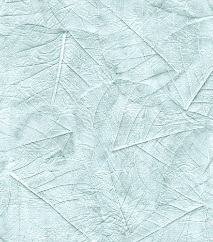 Aspen Leaves