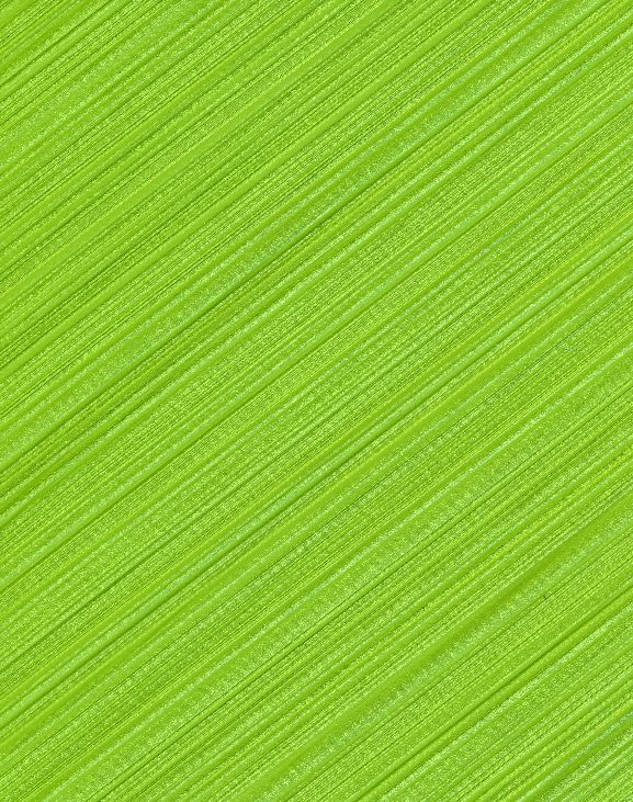 Green Focal