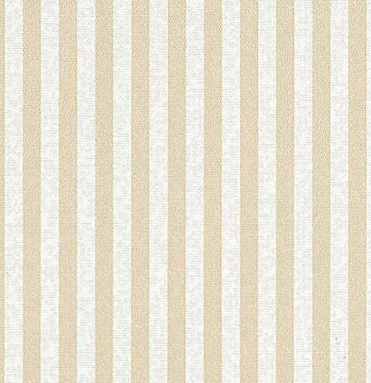 Omni Stripe