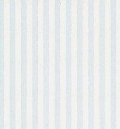 Omni Stripe
