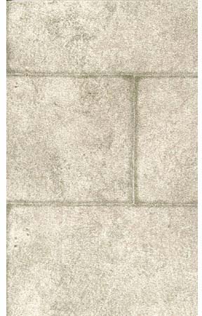 Severe Block