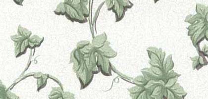 Meadow Crackle