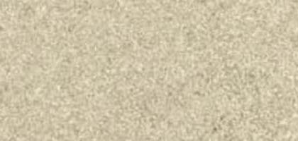 Sahara