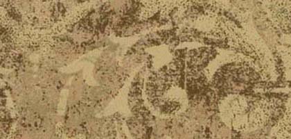 Fantine Border