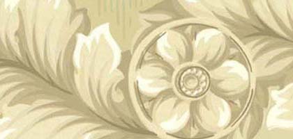 Simone Border