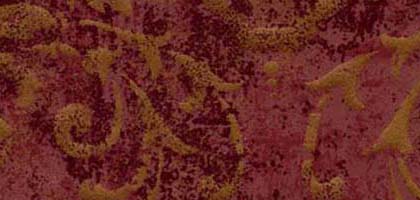 Fantine Border
