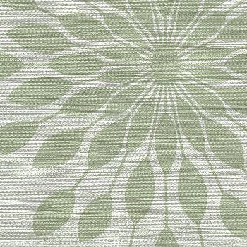 Shantung Lotus