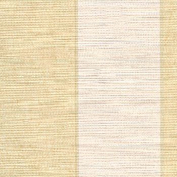 Shantung Stripe
