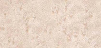 Birdseye Maple