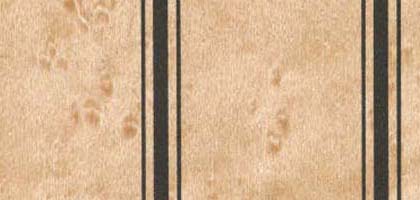 Birdseye Stripe