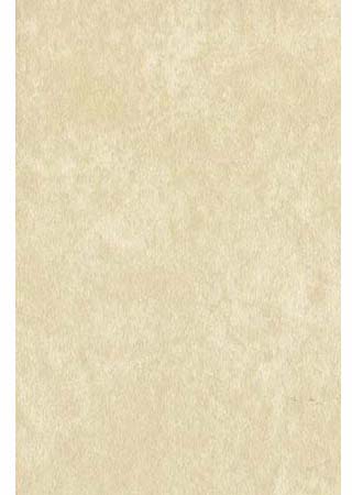 Fidelity Suede