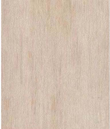Teak