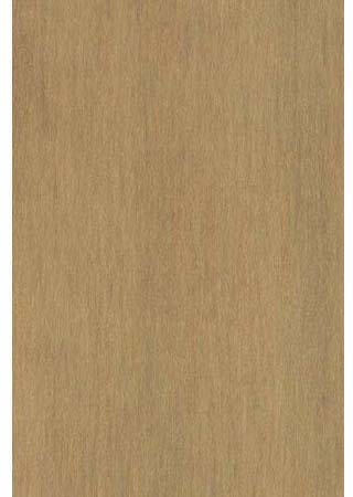 Teak