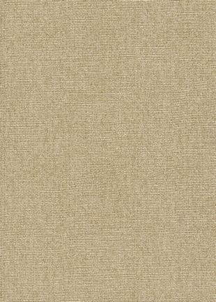 Poplin