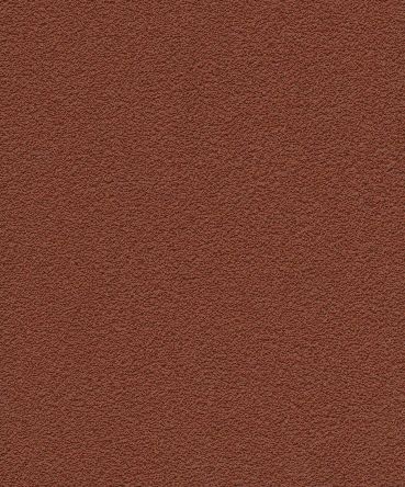 Accent Terracotta Scheme