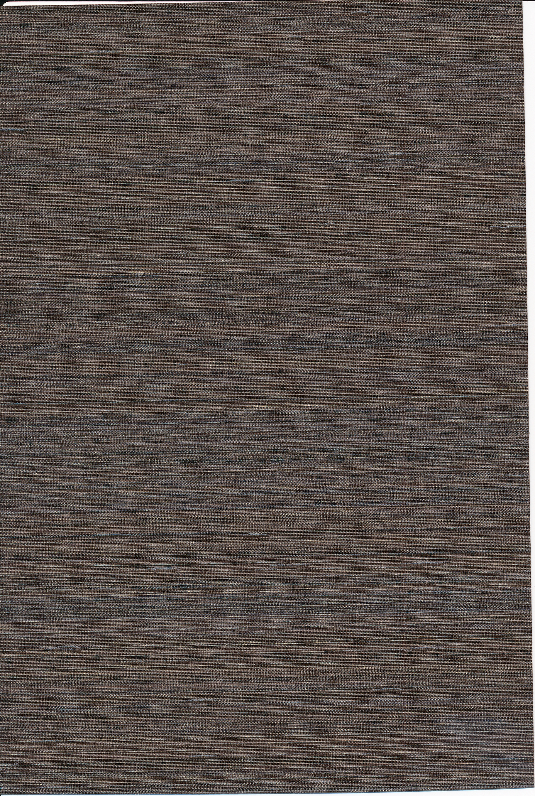 Champagne Silk