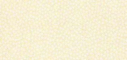 Particles