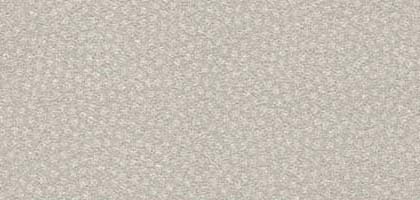 Particles