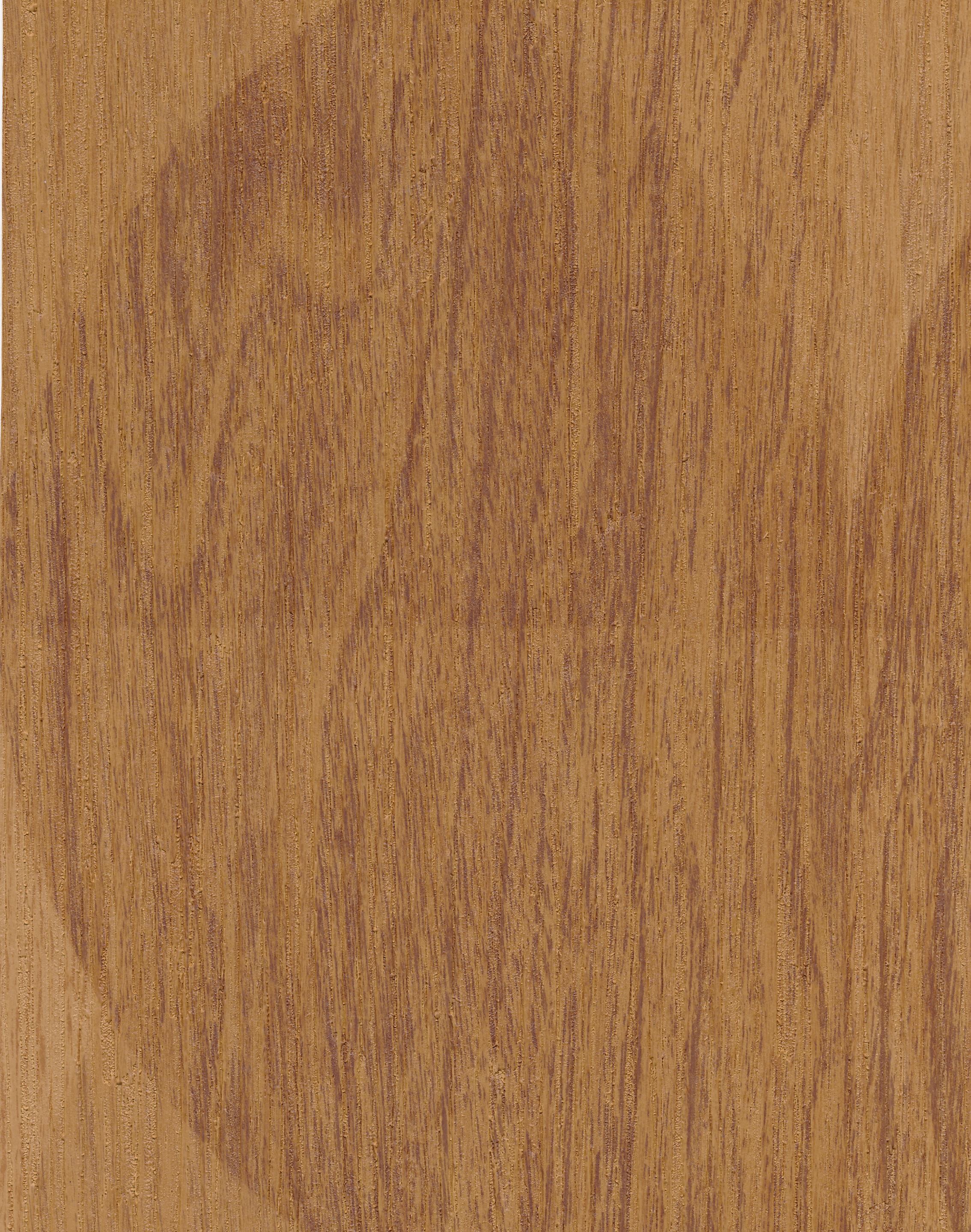 Woodgrain Circles