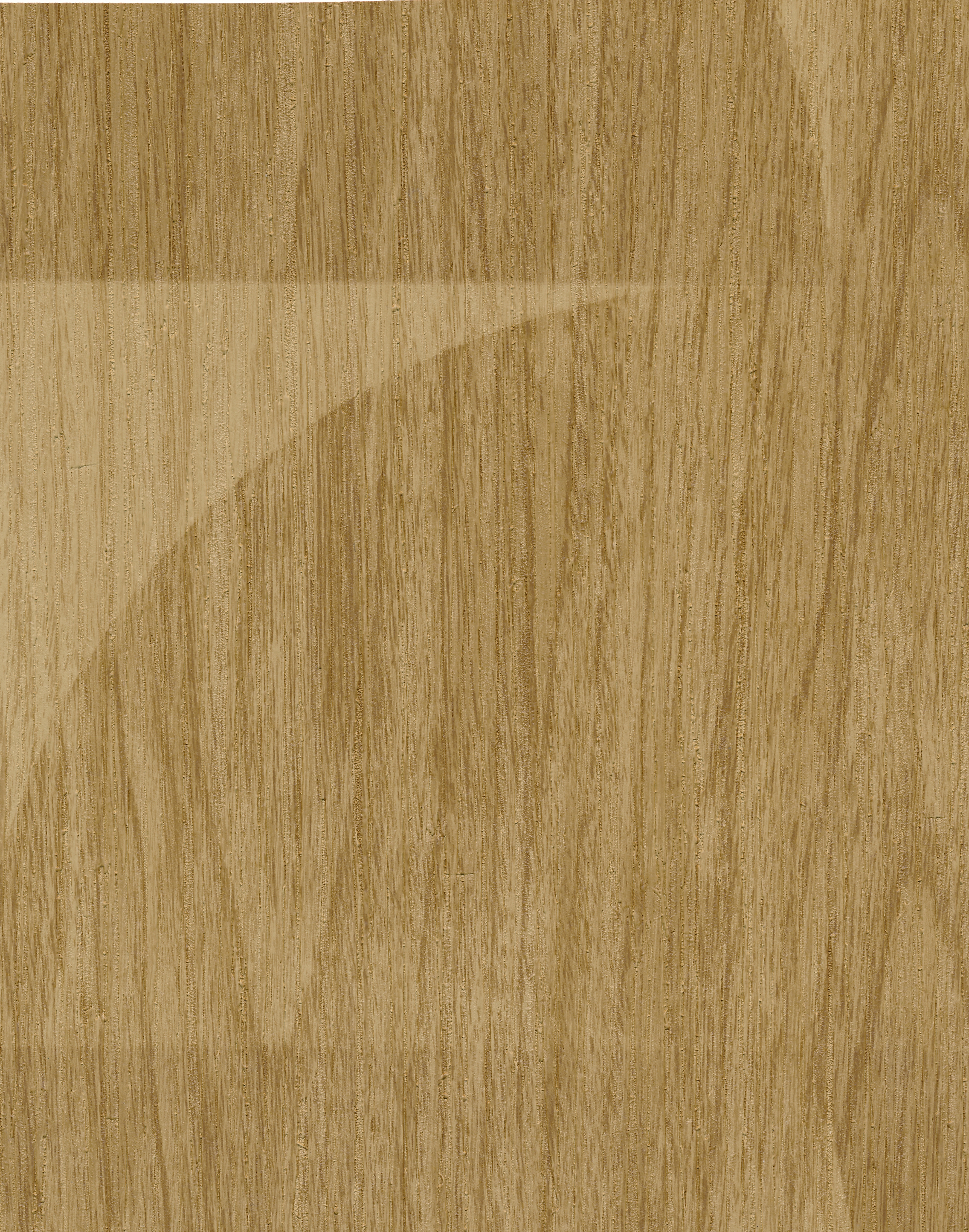 Woodgrain Circles