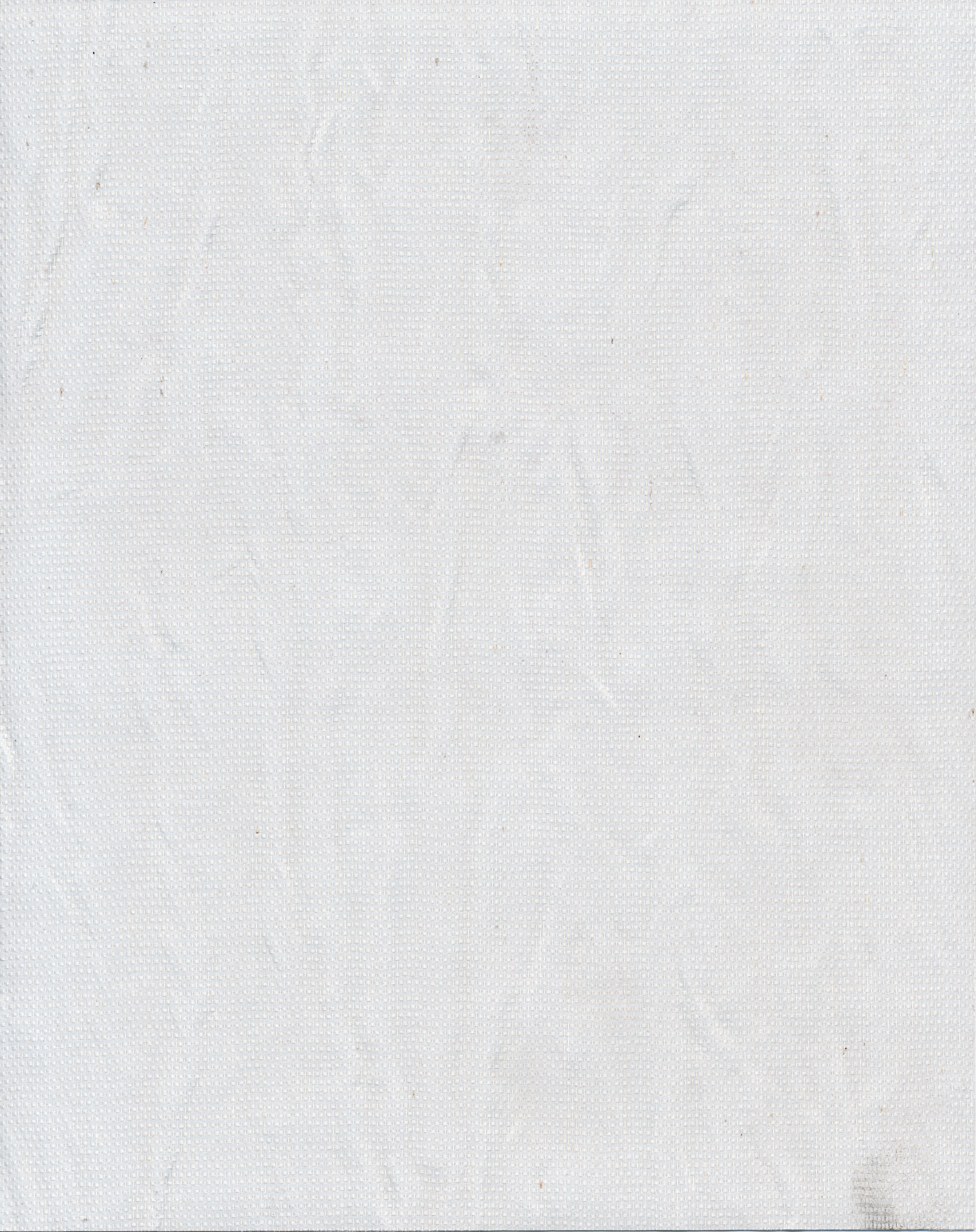 Pashmina