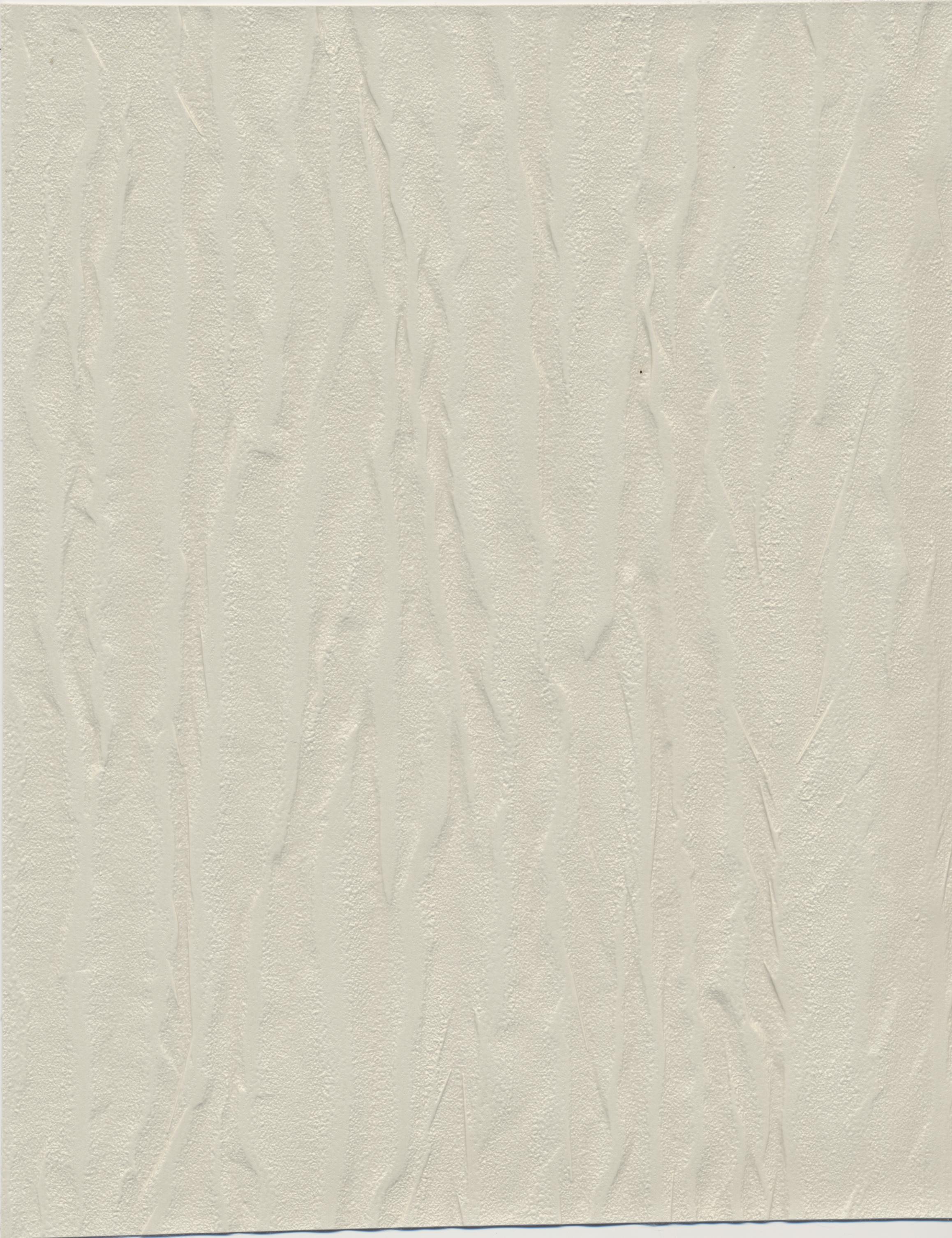 Pashmina