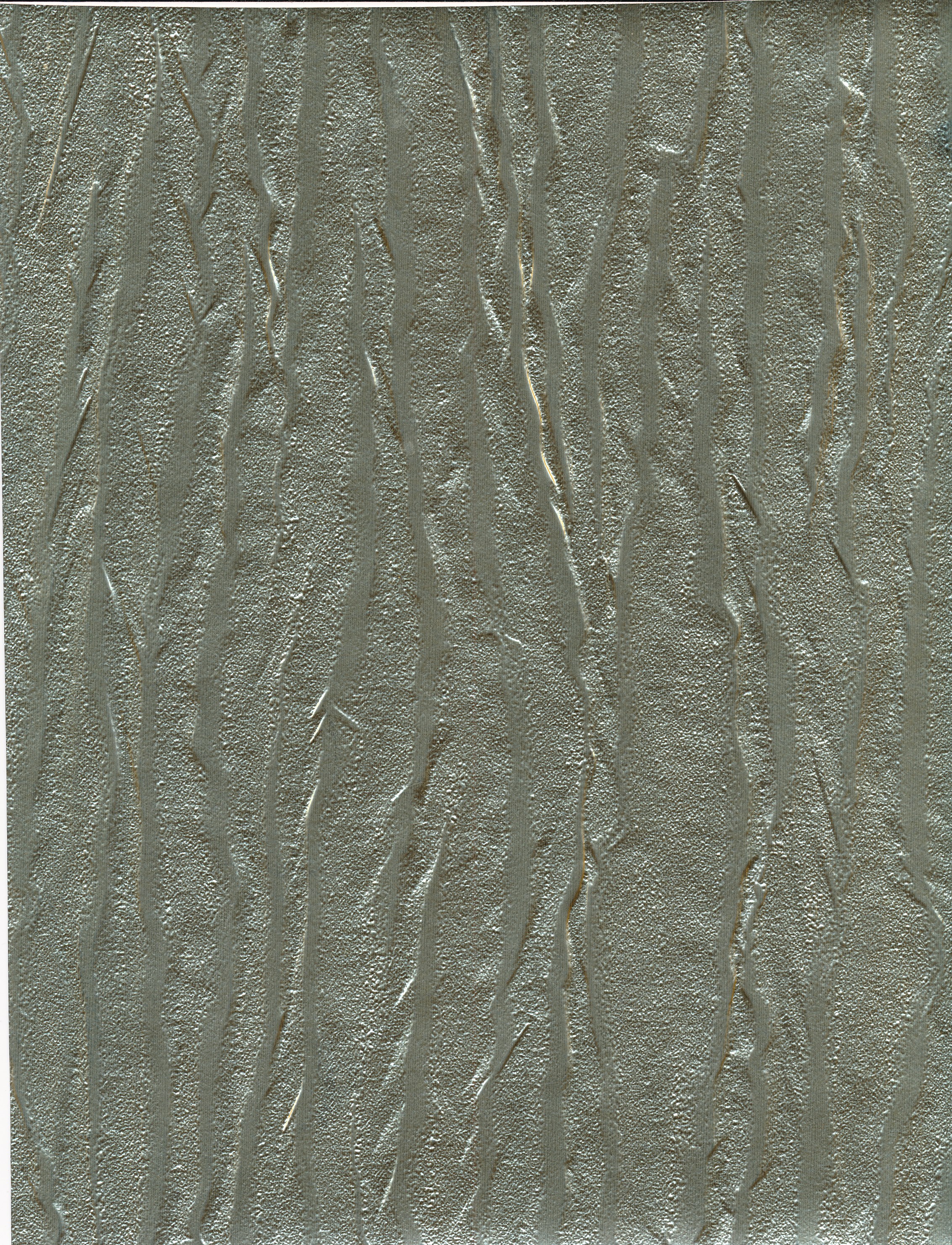 Pashmina