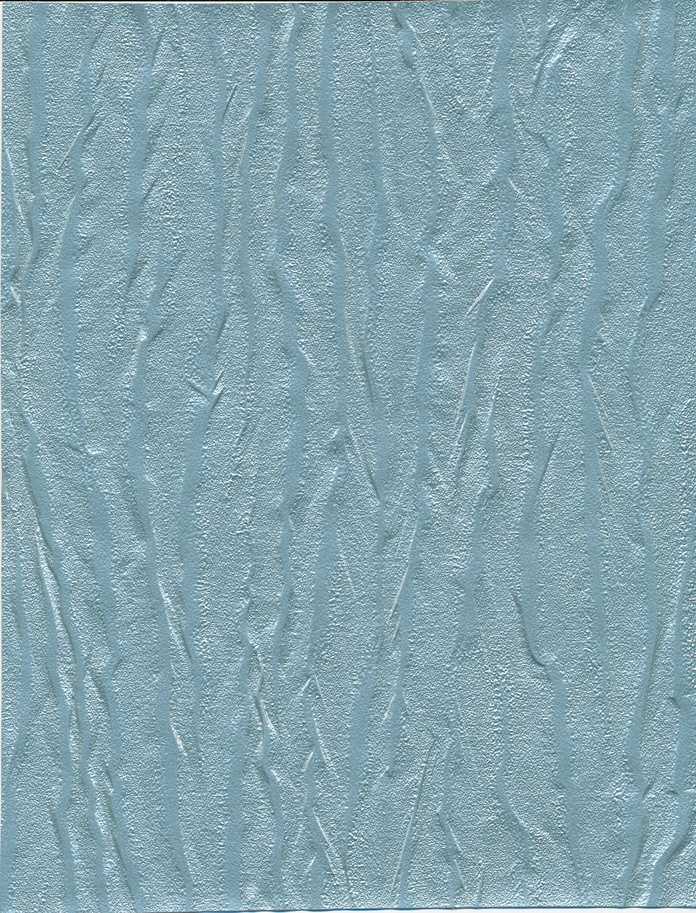Pashmina