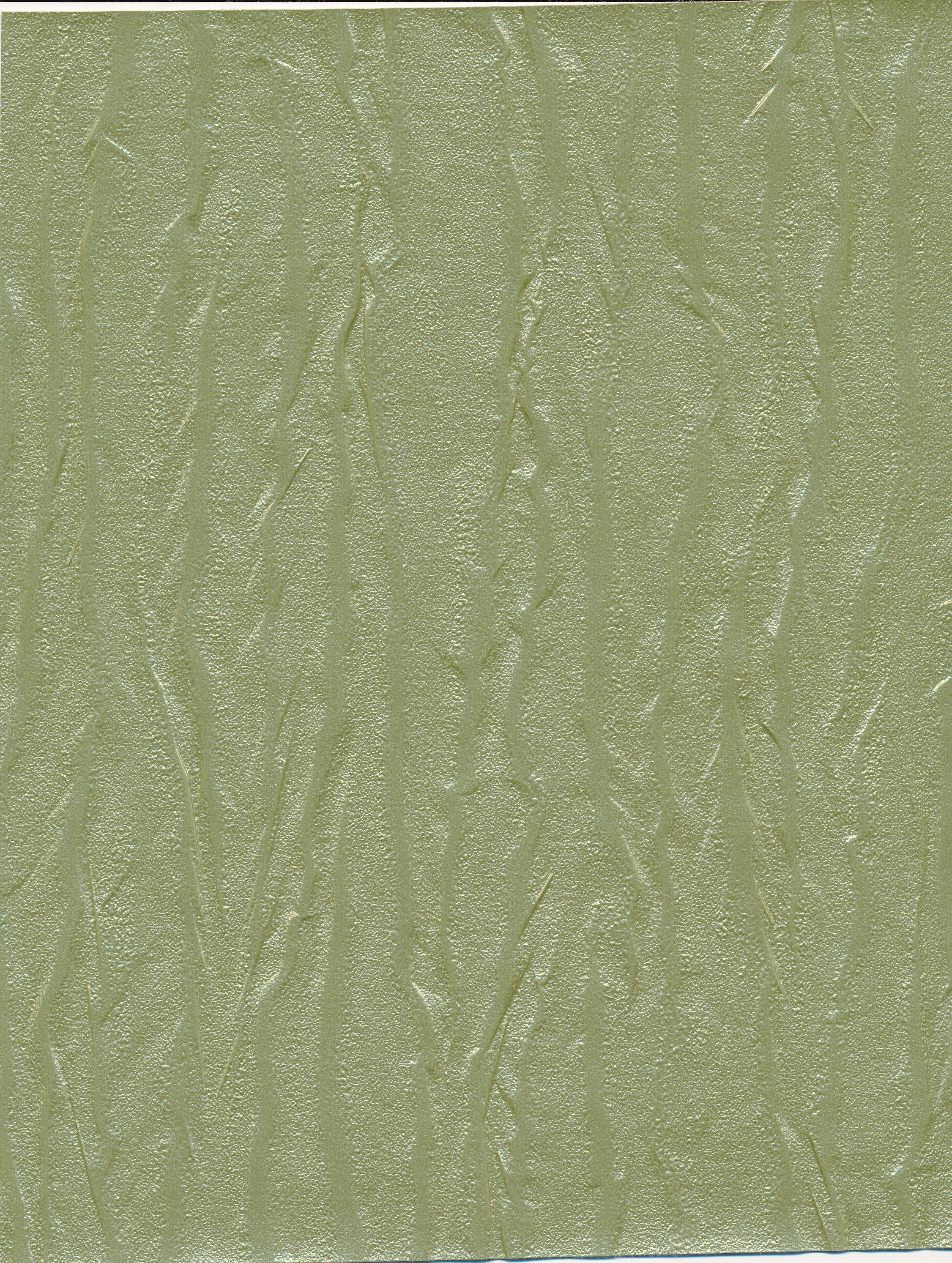 Pashmina