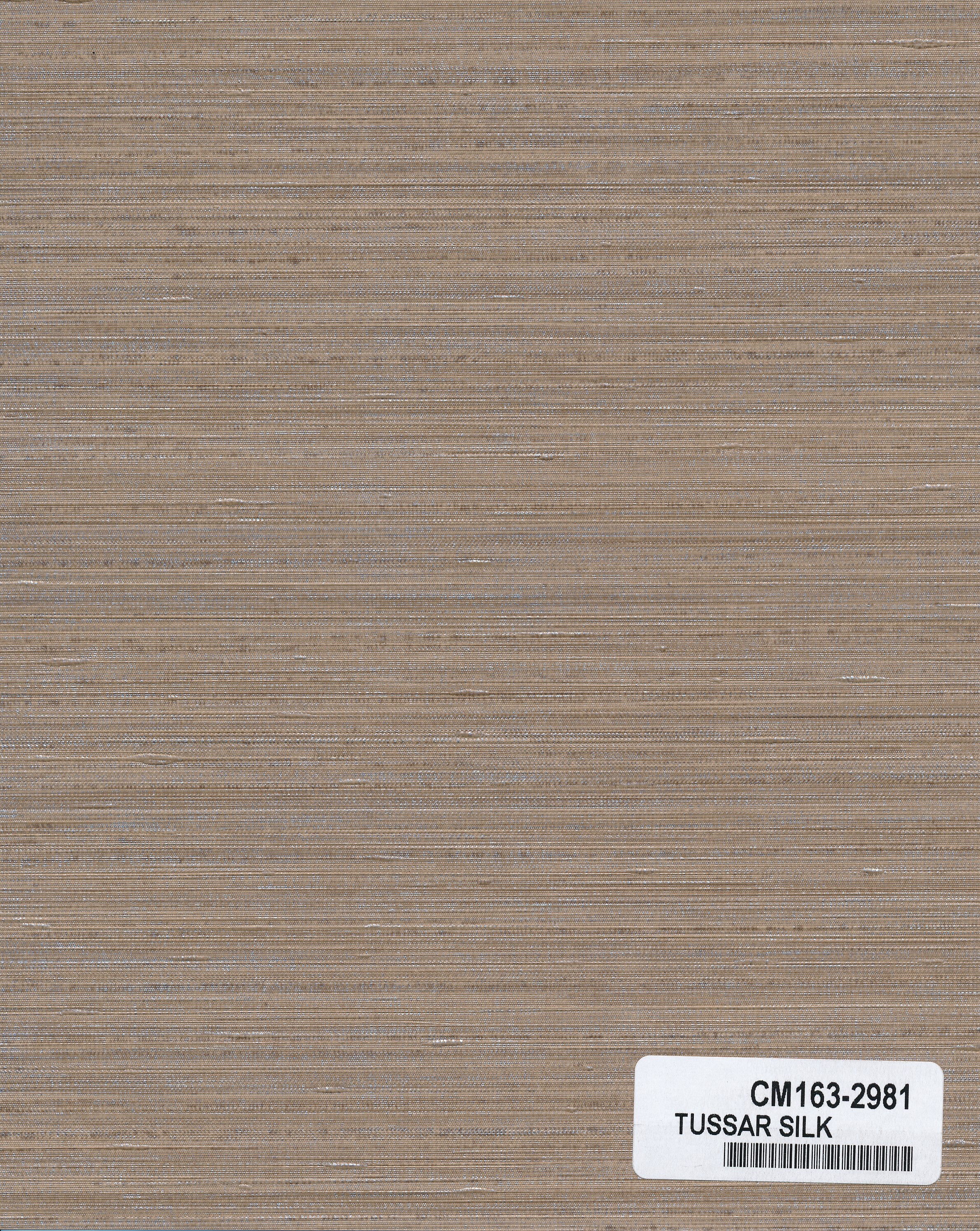 Tussar Silk